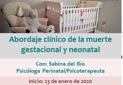 Curso online: Abordaje clínico de la muerte gestacional y neonatal